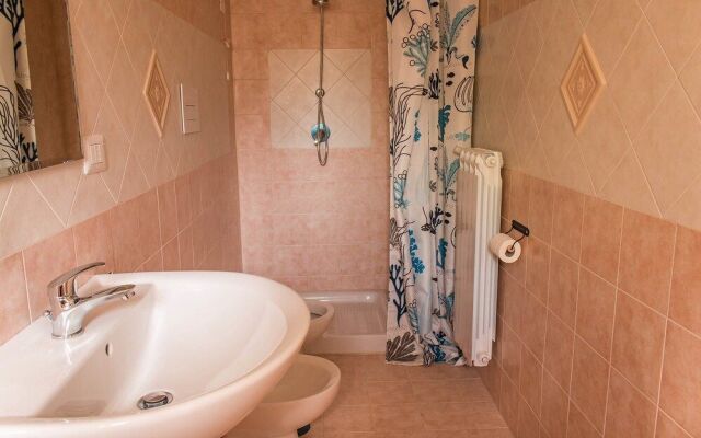 Casale I Cirillo: Primula & Iberide Florida