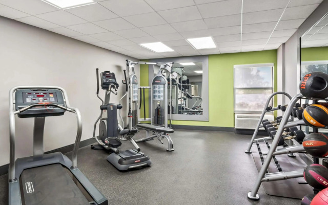Spark by Hilton Stevensville