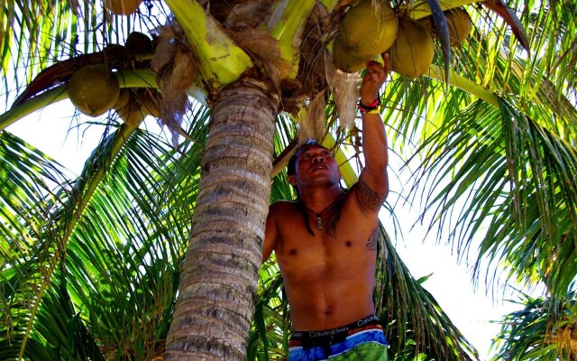 Maravu Taveuni Lodge
