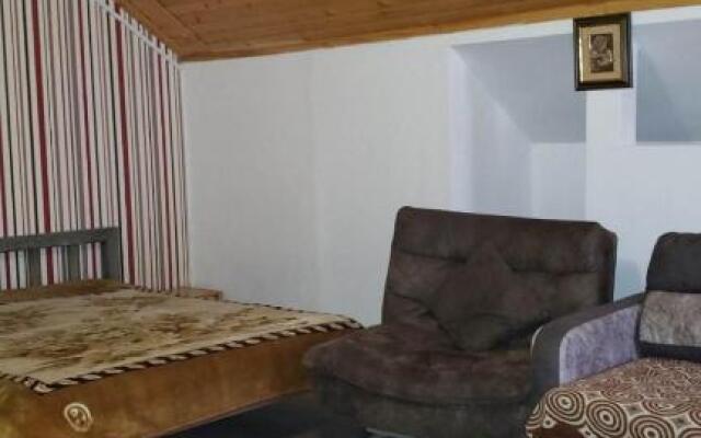 Cozy apartment in Mgzavrebi Hotel