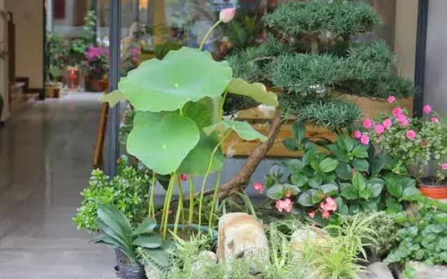 Qingchengshan Town Yunqi B&B