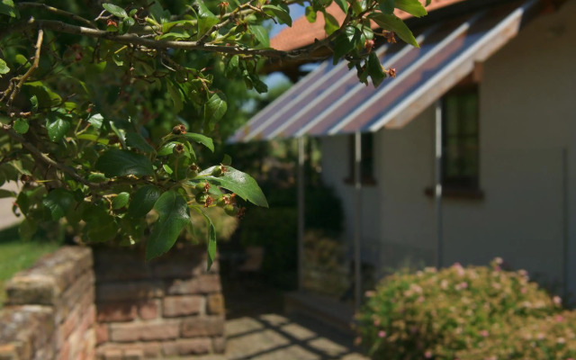 Ferienwohnung Am Wingert