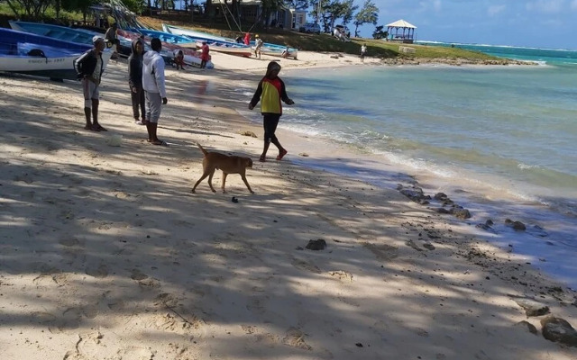 Le Shanoa-gite Feet in the Water