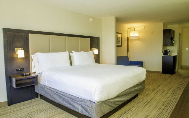 Holiday Inn Express Hotel & Suites St. Petersburg North (I-275)