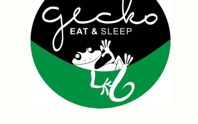 Gecko Eat & Sleep