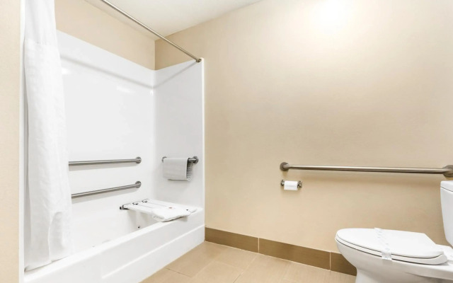 Comfort Inn & Suites Redwood Country