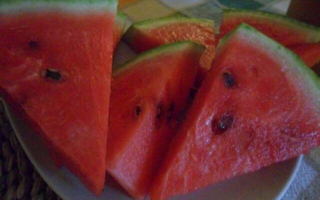 Bed & Breakfast Casa Pascolone