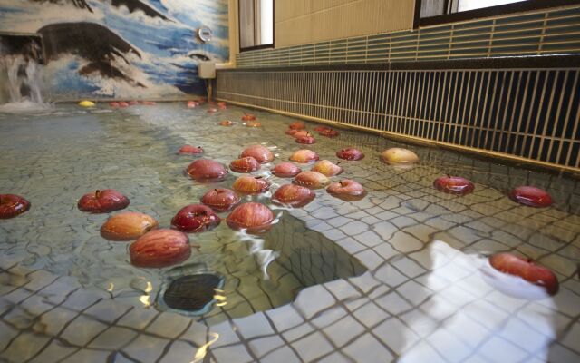 Dormy Inn Express Sendai Hirosedori
