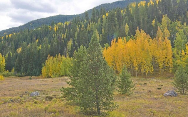 Timberfalls 1005 3 Bedroom Condo by RedAwning