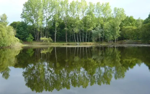 Lakeside Bed and Breakfast