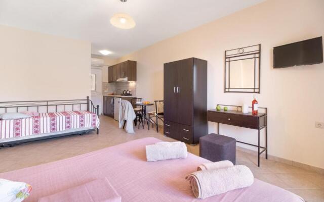 Smart Lilly Studio 3