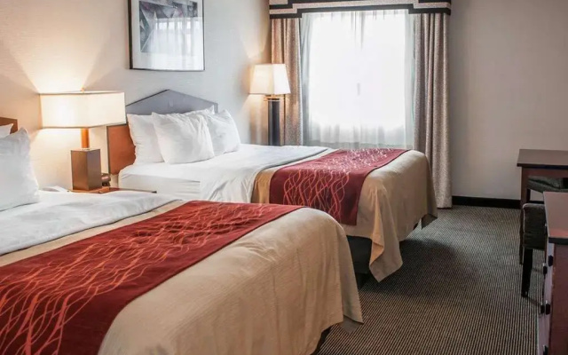 Comfort Inn