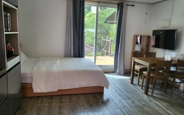 Gapyeong Topclouds Pet&spa Pension