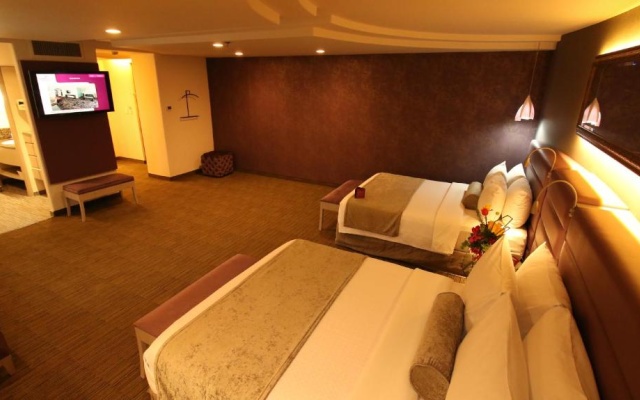 Crowne Plaza Toluca Lancaster by IHG