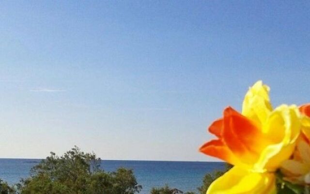 Nostos Resort