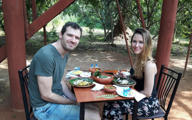 Dambulla Tree House