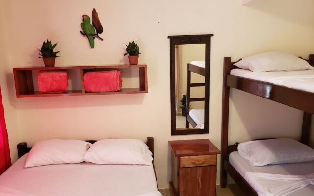 Cabinas Pura Vida Bed & Breakfast
