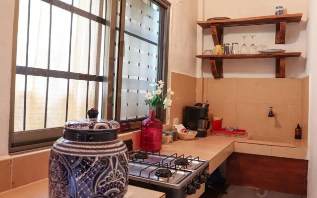 Pata de Perro Bacalar