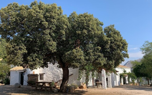 Casas Rurales Cortijo Del Cerro Fuentes Nuevas Ii