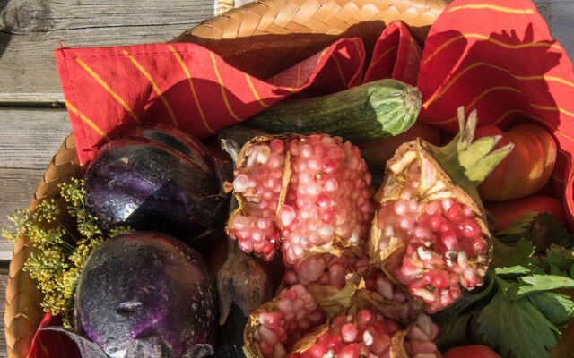 Agriturismo La Coccinella