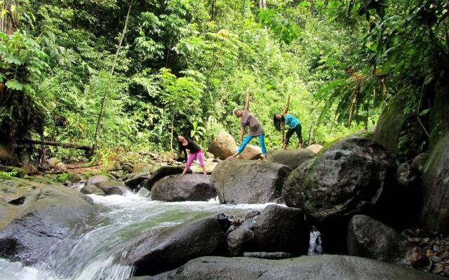 Portasol Rainforest and Ocean View Living