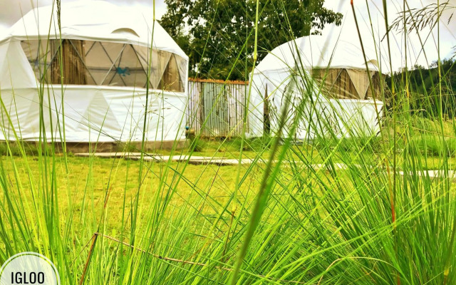 Igloo Glamping Bali