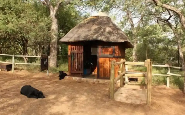 Offbeat Safaris