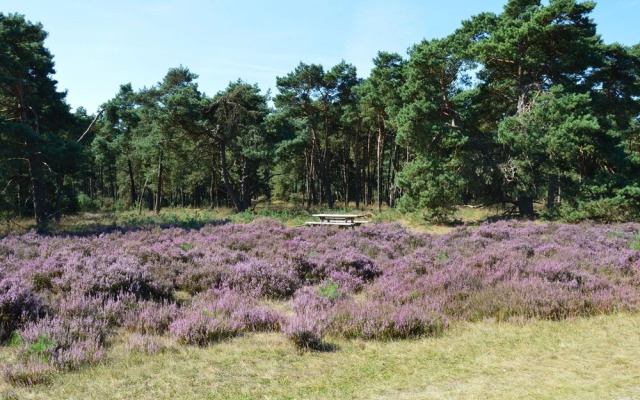Tranquil Holiday Home in Garderen With Barbecue