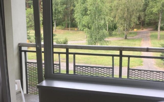 Auksinės Kopos