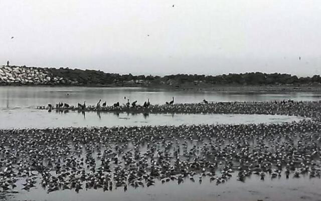 Jirón Tarapacá 398, La Punta - Callao
