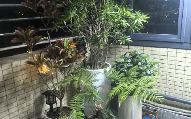 Zijin Shili Homestay – Outside – Heyuan