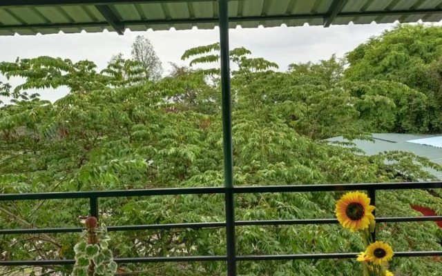 Wild Tusker Masinagudi by LexStays