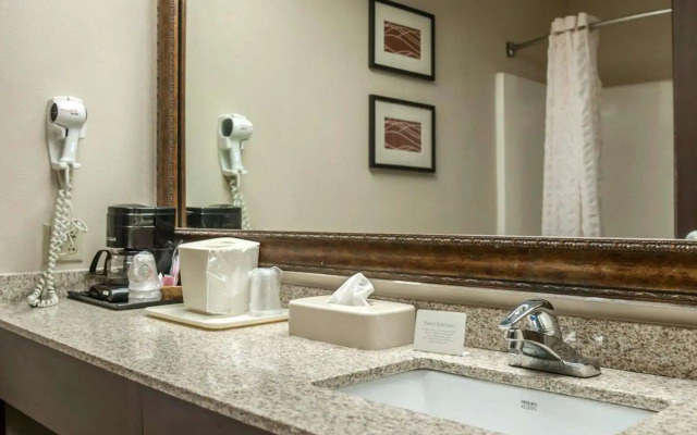 Quality Inn & Suites near St. Louis and I-255