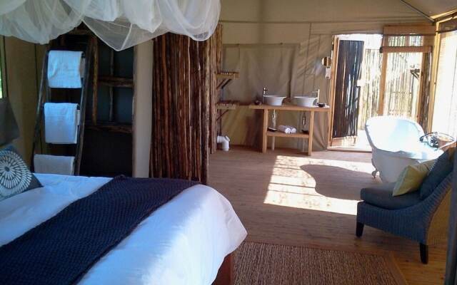 Miombo Safari Camp