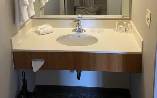 SpringHill Suites by Marriott San Antonio Alamo Plaza/Convention Center