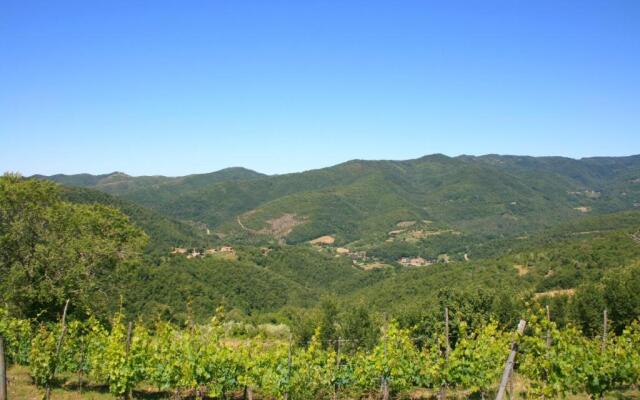 Stunning private villa with private pool, WIFI, TV, pets allowed and parking, close to Cortona