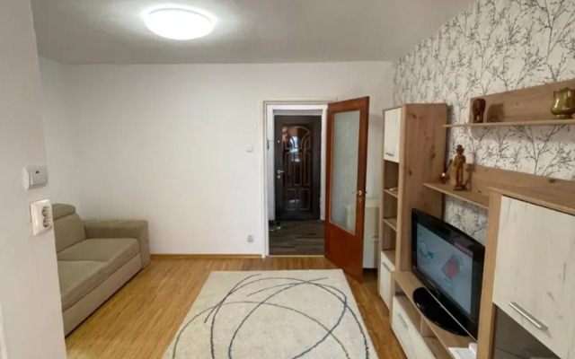 Garsoniera -Single Room 91