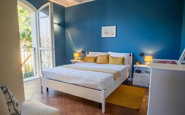 Donna Eloisa - Italian Homing