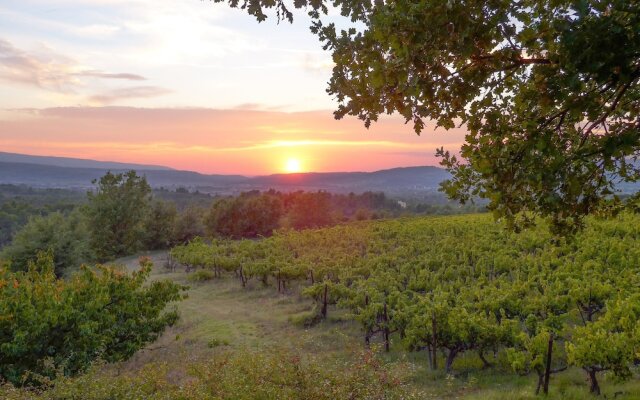 La Couleur des Vignes