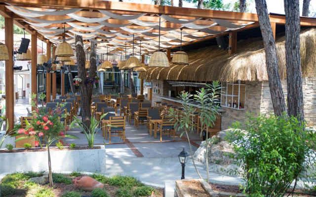 Hotel Pine Valley
