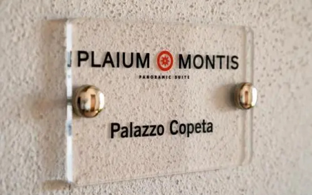 Plaium Montis