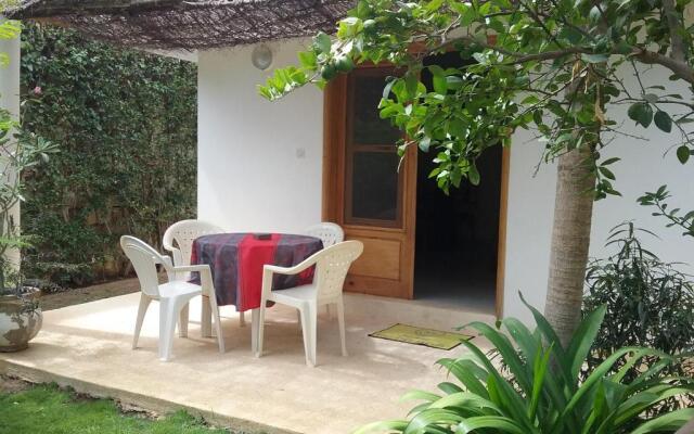Jardin d'Afrique