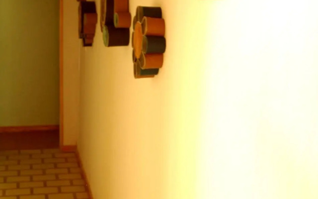 Pajaros Volando Hostel