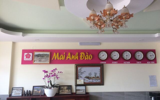 Mai Anh Dao Hotel