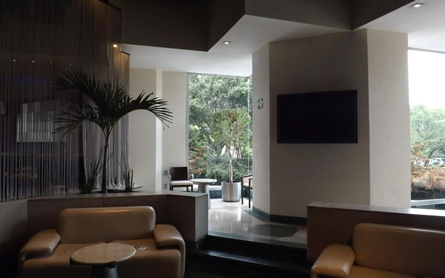 Royal Pedregal Hotel