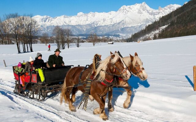 Spacious Chalet in Maishofen near Forest
