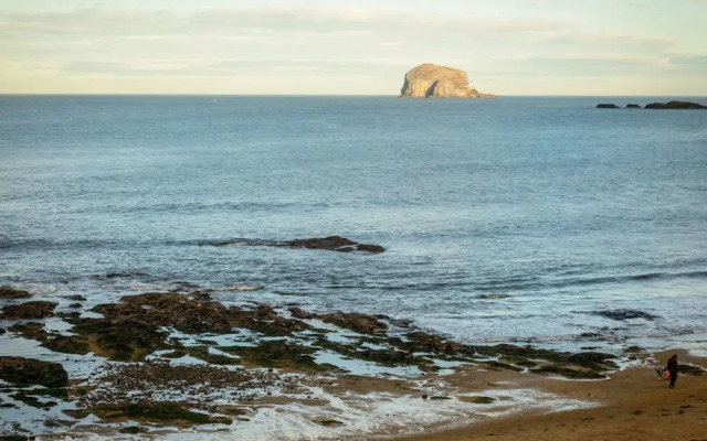 Bass Rock View