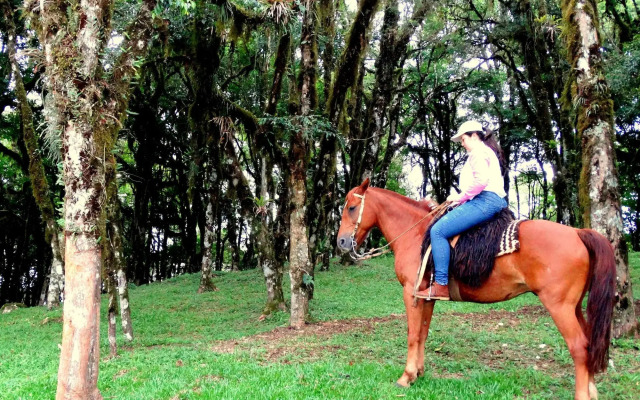 Pousada Chales da Montanha