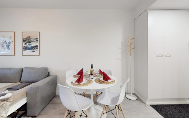 Apartment Scandinavia IV