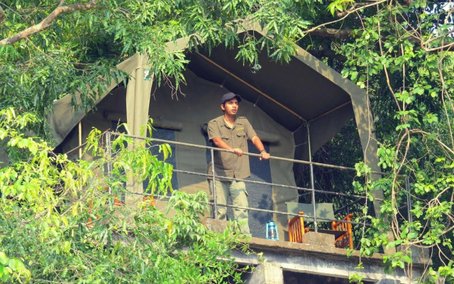 Explorer by Eco Team - Wasgamuwa National Park